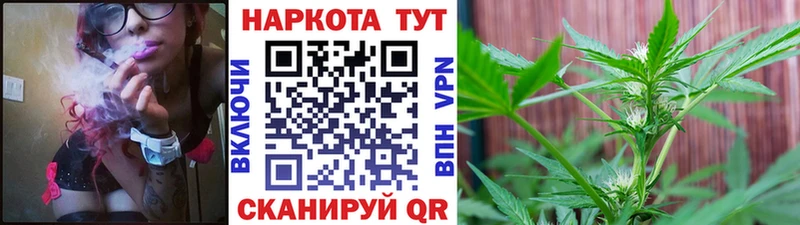 Продажа наркотиков Каргополь Галлюциногенные грибы  Каннабис  Меф мяу мяу  ГАШИШ  COCAIN  APVP 