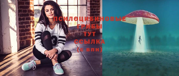 мяу мяу мука Абинск